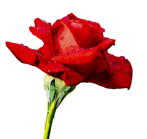 ˮ�κ�õ��PNG���ͼ