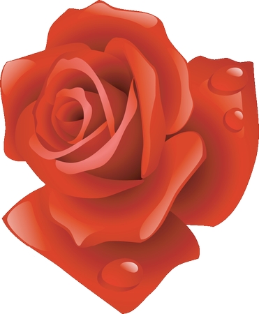 ˮ�κ�õ��廭PNG���ͼ