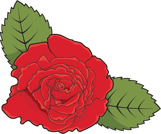 ïʢ��Ҷ��õ��PNG���ͼ