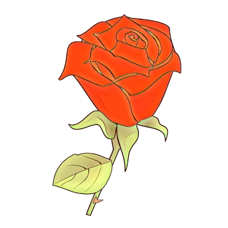 ��Ҷ��õ��廭PNG���ͼ
