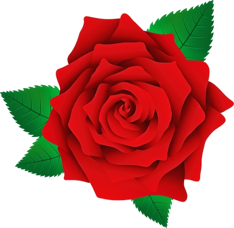 ��Ҷ��õ��廭PNG���ͼ