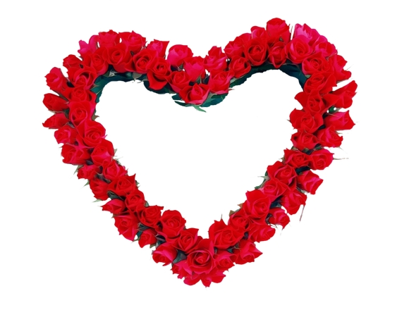 ���κ�õ�廨������PNG���ͼ