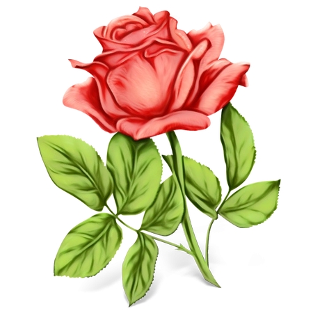 ��Ҷ��õ��廭PNG���ͼ