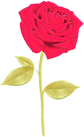 ��Ҷ��õ��廭PNG���ͼ