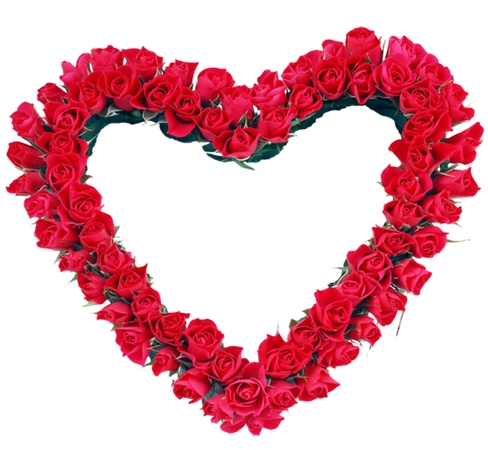 ���κ�õ�廨��PNG���ͼ