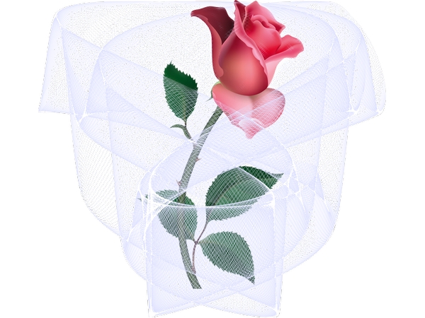 ��������Ч��������õ��PNG���ͼ