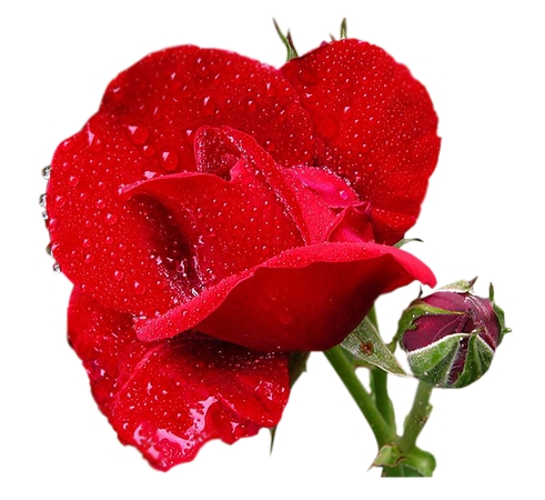 ¶���õ��PNG���ͼ