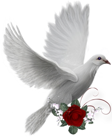 ��õ��׸�廭PNG���ͼ