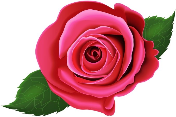 Ҷ˫ɫ���ۺ��õ��дʵ���PNG���ͼ