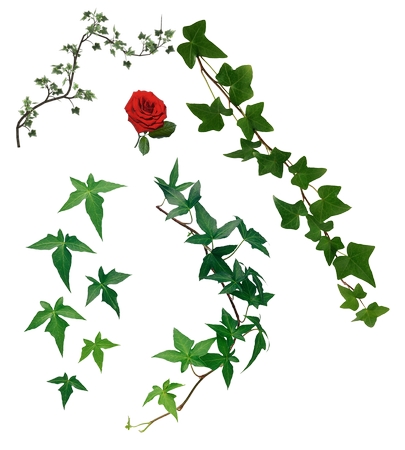 ��Ȼ�̳����ٺ�õ��PNG���ͼ