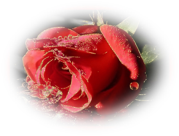 ˮ�κ�õ��PNG���ͼ