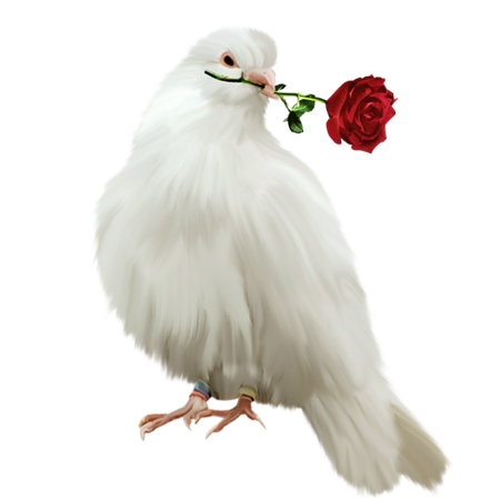 �ֳֺ�õ��׸�PNG���ͼ