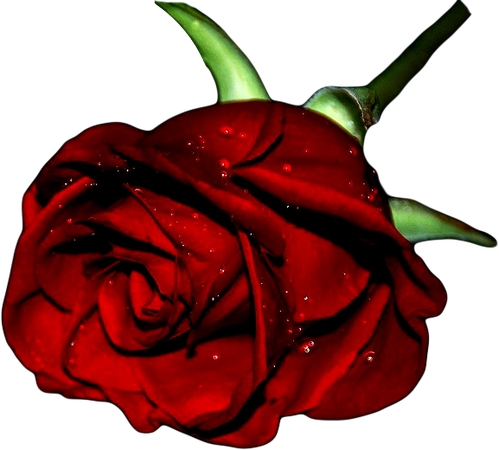 ��������¶���õ��PNG���ͼ