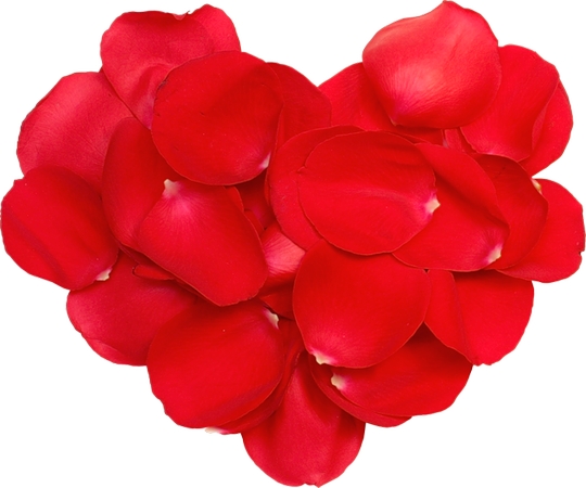 ���˽����κ�õ�廨��װ��PNG���ͼ