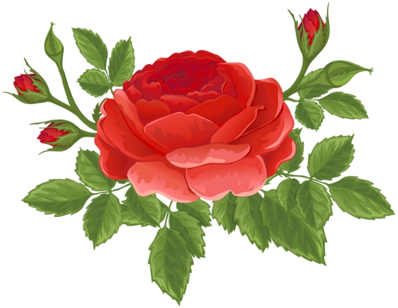 ��Ҷ��õ��廭PNG���ͼ