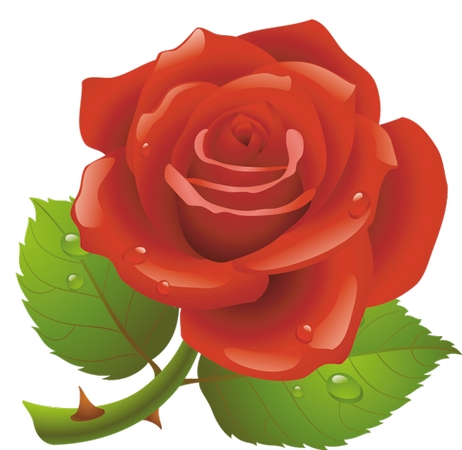 ����Ҷ��õ��PNG���ͼ