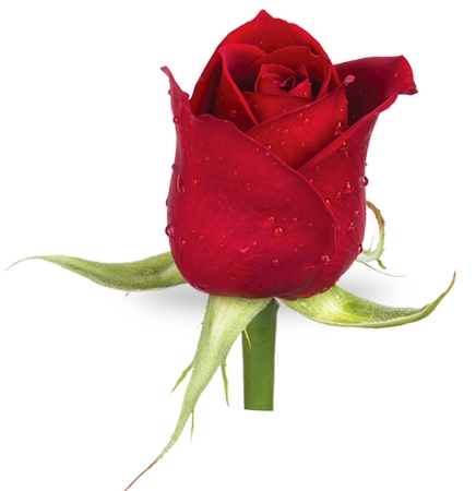 ¶�����ʺ�õ����дPNG���ͼ