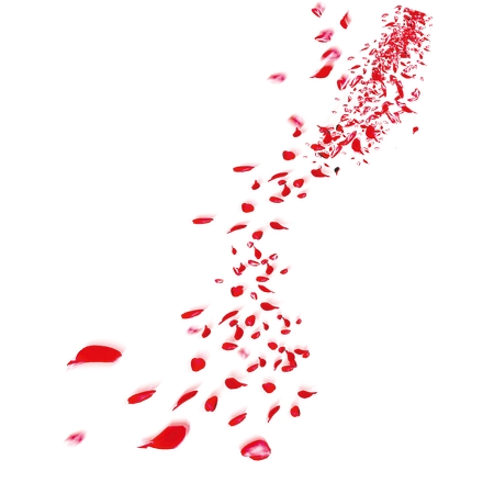 ��õ�廨�������켣PNG���ͼ