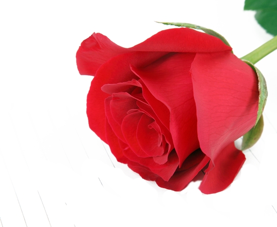 дʵϸ�ں�õ��PNG���ͼ