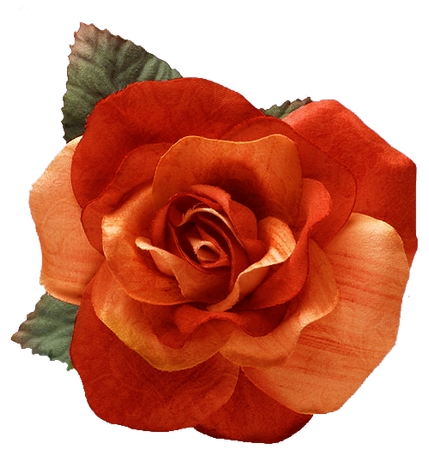 ��Ҷ��õ��PNG���ͼ