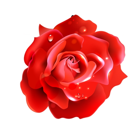 ¶���õ��廭PNG���ͼ