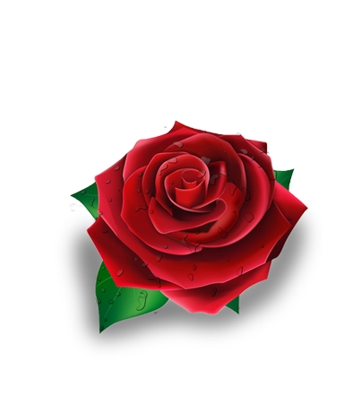 ˮ�κ�õ��PNG���ͼ