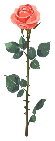 ����Ҷ���ź�õ��PNG���ͼ