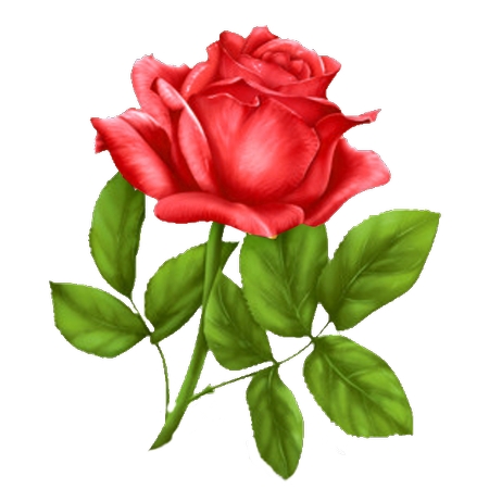 Ҷ��֦��õ��PNG���ͼ