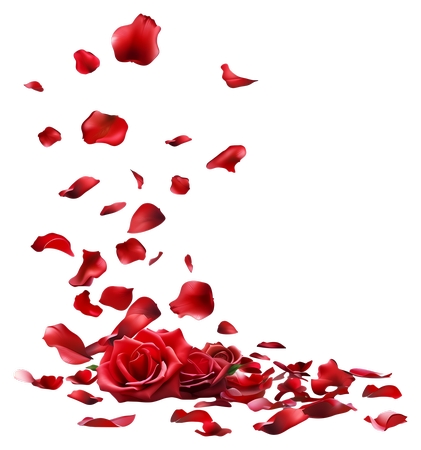 ������õ��Ʈ�仨��廭PNG���ͼ