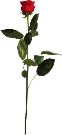 �̾���֦��õ��PNG���ͼ