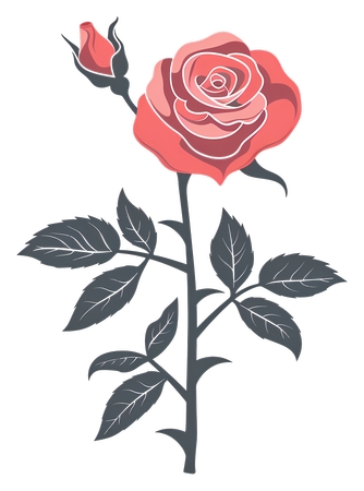 ��Ҷ���ź�õ��廭PNG���ͼ