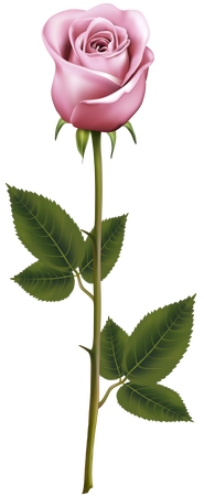 ������ɫõ�廨����ҶPNG���ͼ