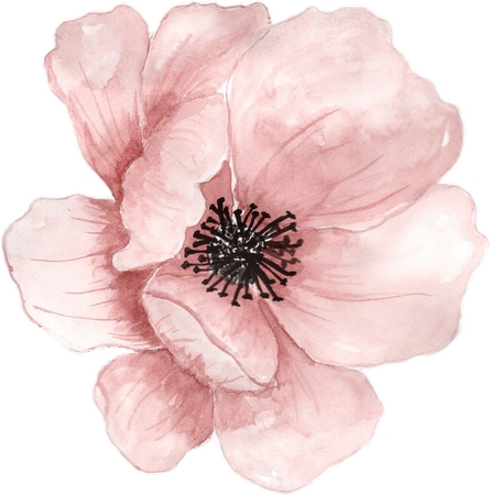 ������ɫ����PNG���ͼ