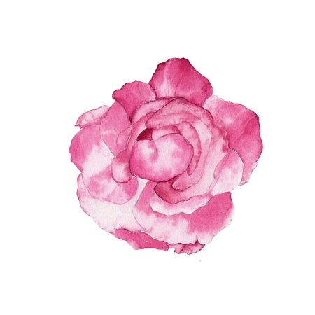 ����ˮ�ʷ�ɫõ�廨PNG���ͼ