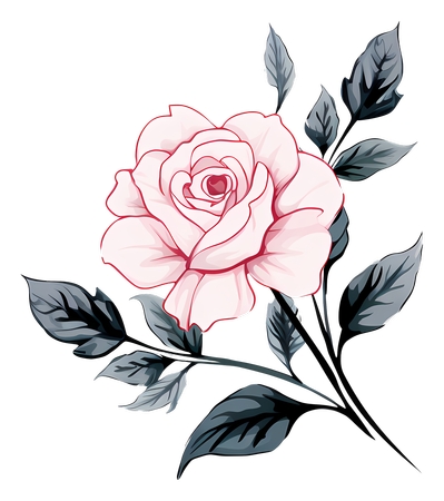 ��ɫõ�廨ֲ���ͼPNG���ͼ