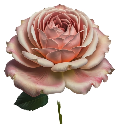 ������ɫõ�廨�廭PNG���ͼ