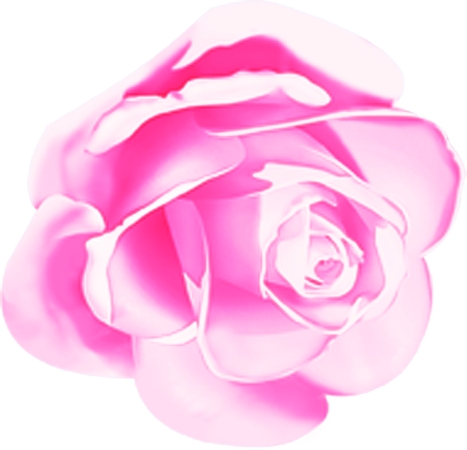 ��ͷ�ɫõ�廨����дPNG���ͼ