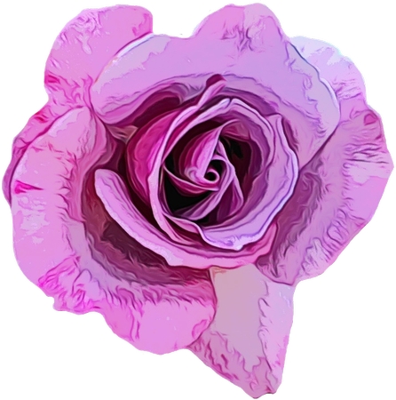 ��ϸ��ɫõ�廨�廭PNG���ͼ