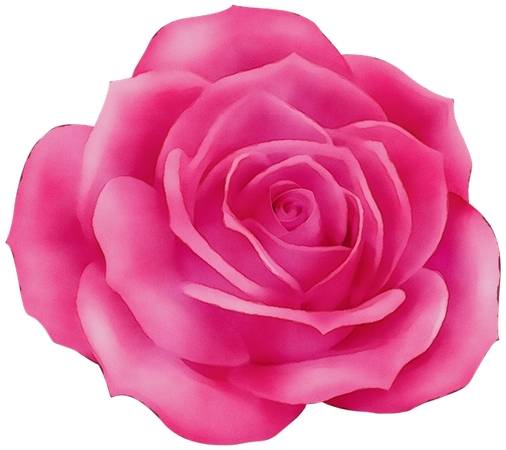 ������ɫõ�廨�廭PNG���ͼ