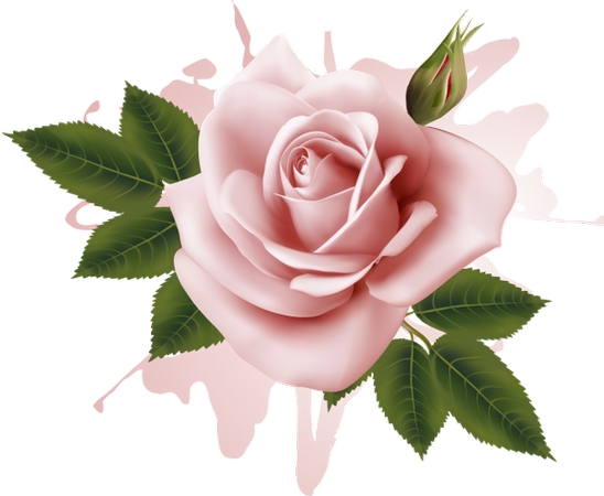 ���ŷ�ɫõ�廨�廭PNG���ͼ