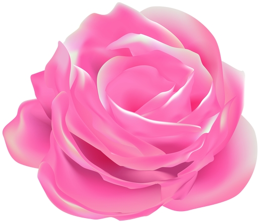 ������ɫõ�廨��PNG���ͼ