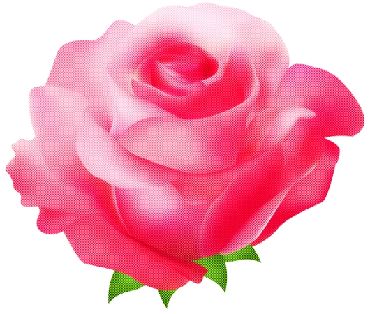 ������ɫõ�廨�廭PNG���ͼ