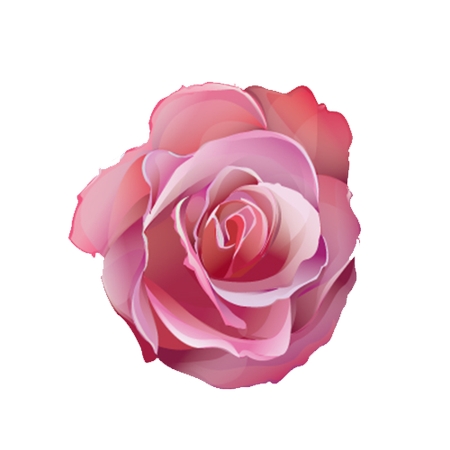 ������ɫõ�廨�廭PNG���ͼ1