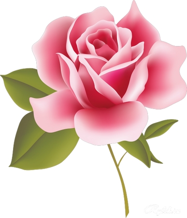 ����Ҷ������ɫõ�廨�廭PNG���ͼ