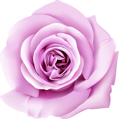 ��ɫõ�廨��廭PNG���ͼ