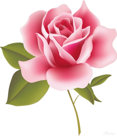 ������ɫõ�廨�廭PNG���ͼ