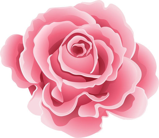 ������ɫõ�廨��PNG���ͼ