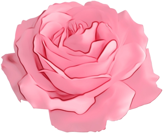 ʢ��������ɫõ�廨PNG���ͼ