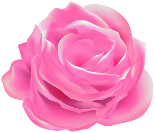 ������ɫõ�廨��PNG���ͼ1