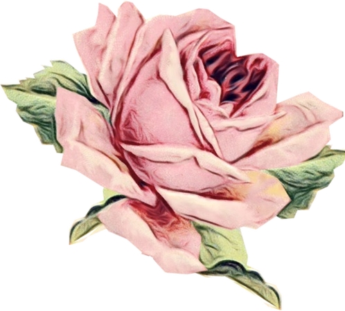 ������ɫõ�廨�廭PNG���ͼ